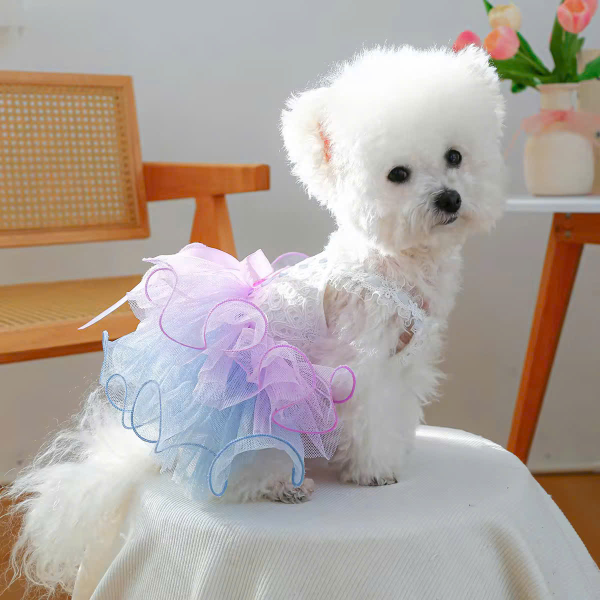 VÁY TÂY ÂU XOÈ SIÊU SANG TRỌNG TỪ 0.5-9KG DÀNH CHO THÚ CƯNG CHÓ MÈO