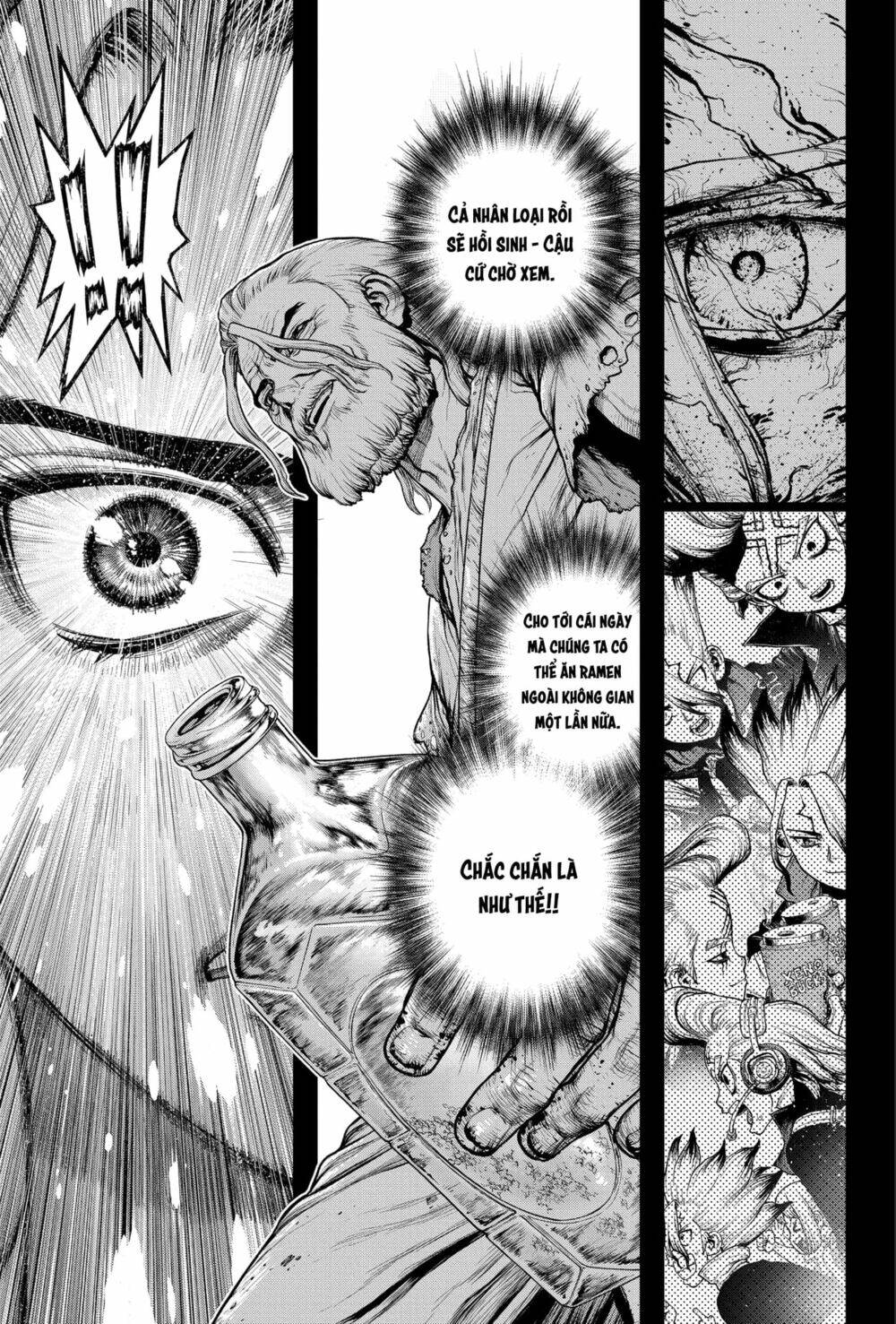 dr.stone - hồi sinh thế giới chapter 224 6