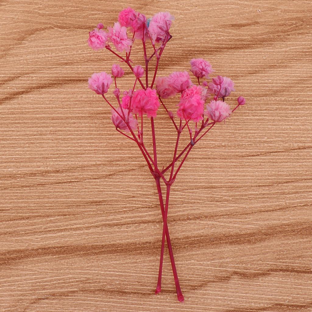 Túi Hoa Ép Khô Dùng Trang Trí Thủ Công Đa Năng