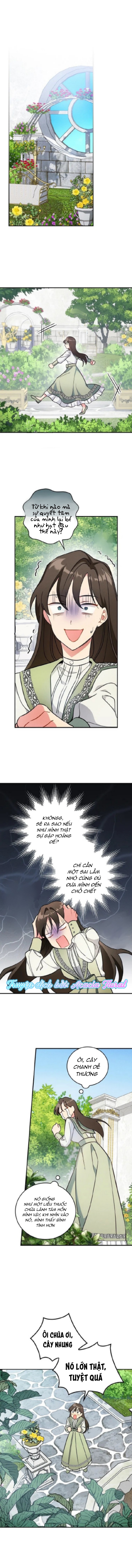 chạy đi, maelle chapter 4 13