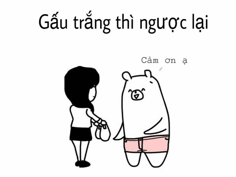 the life of the three bears chapter 1 5