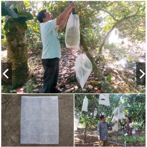 10 cái Túi Bao Trái Mít 50x70 - Bao Bọc Quả Mít