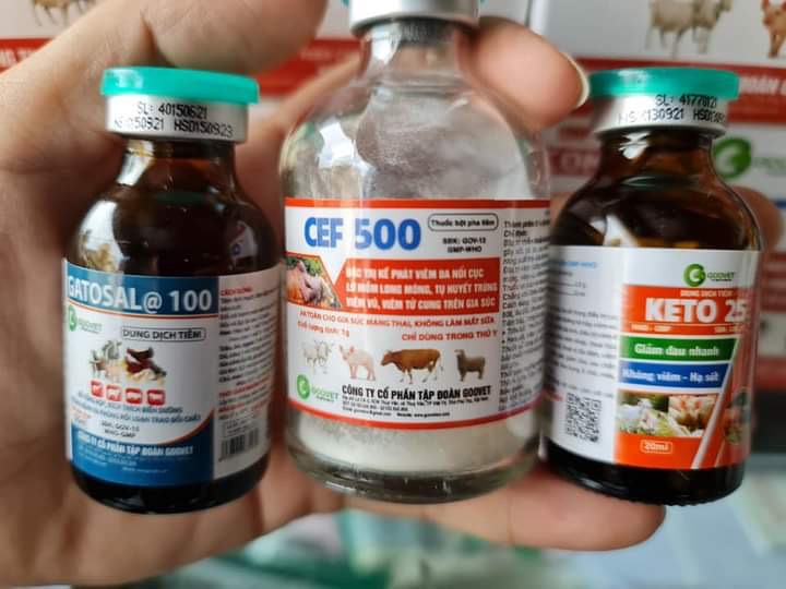 1 cặp Cef đăc tri viêm da nổi cục, lở mồm long móng cho gia súc