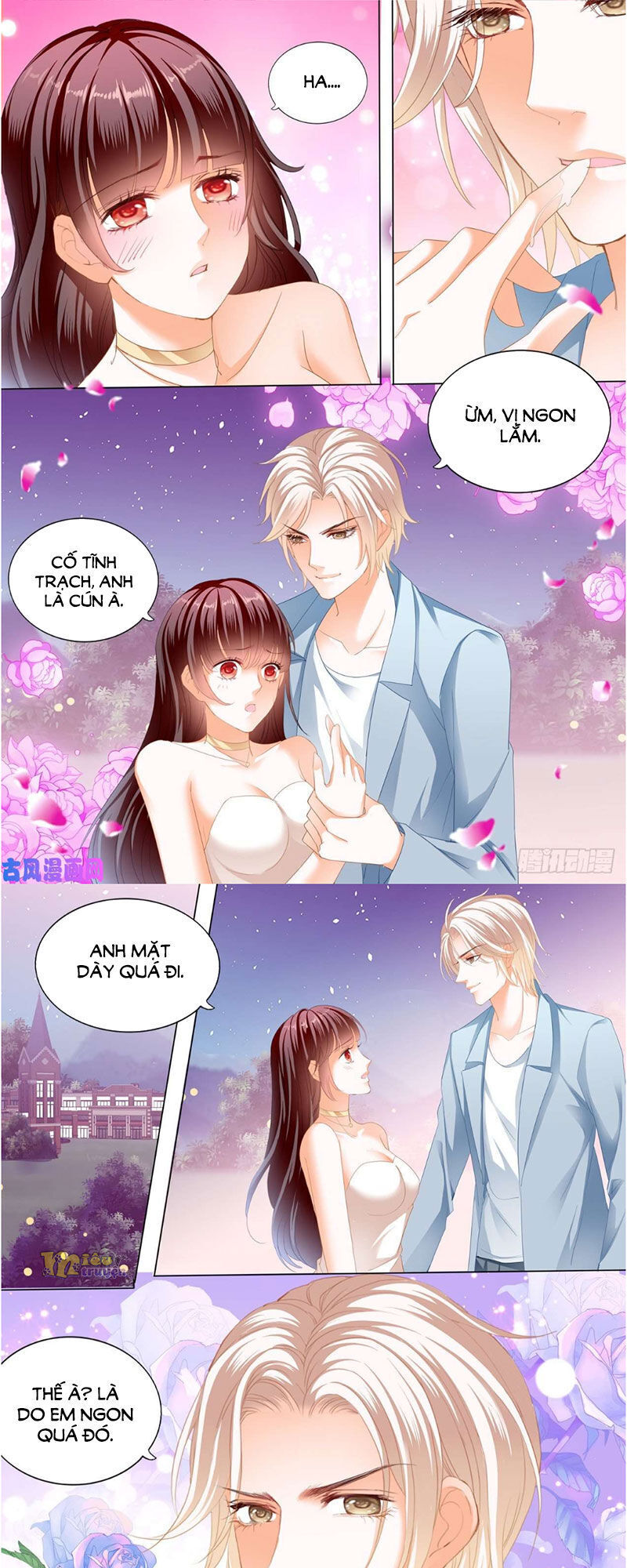 lóe thiểm hôn kiều thê mơ tưởng trốn chapter 258 13