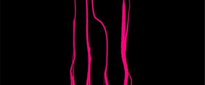 máy mô phỏng nhân sinh của lữ bố chapter 8 88