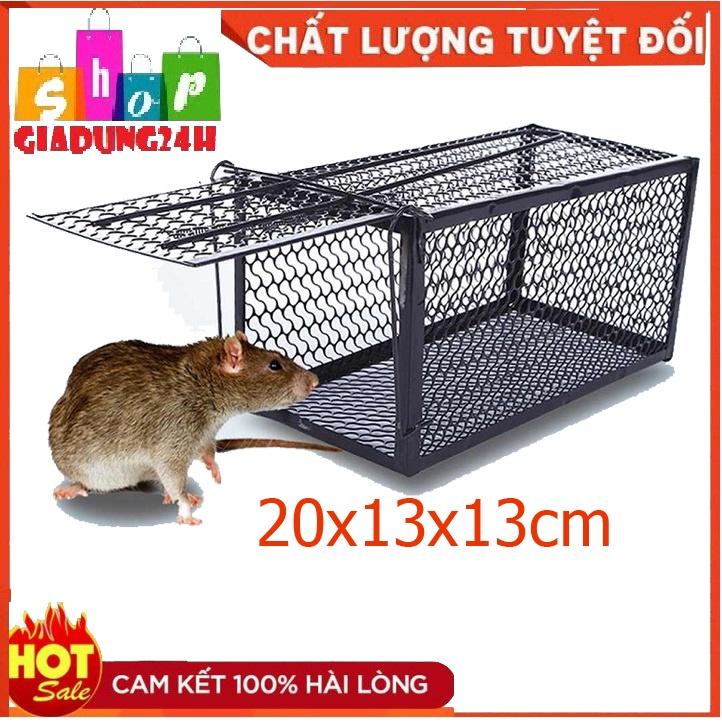 Bẫy chuột lồng sắt cỡ nhỏ 20x13x13cm -hàng sắt Nam Đinh Có thể tái sử dụng