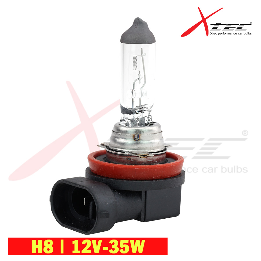 Bóng Đèn Ô Tô Xtec H8 12V 35W