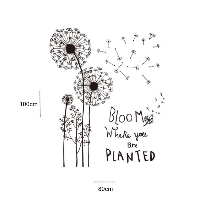 Decal dán tường trang trí - HOA BỒ CÔNG ANH TRẮNG ĐEN BLOM