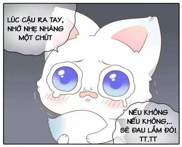 tiểu hồ ly vs tiểu hóa thượng chapter 51 14