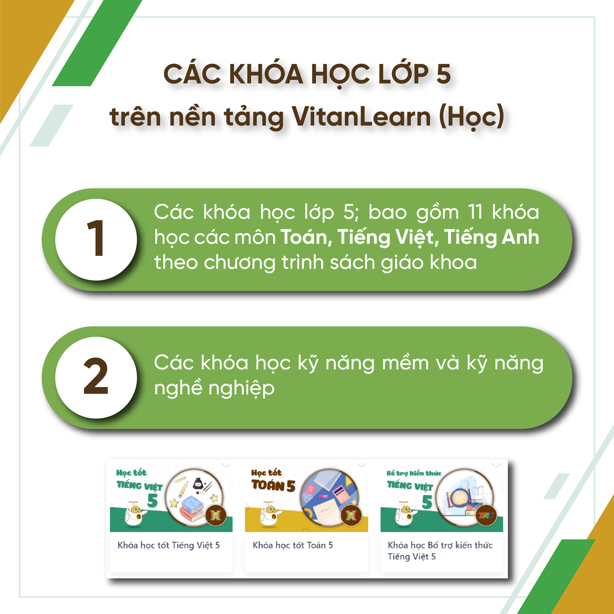 Bộ công cụ Học - Thi - Hướng nghiệp lớp 5, VitanEdu