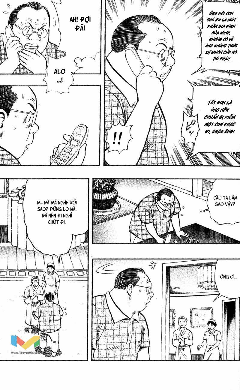 animal sense chapter 4 7