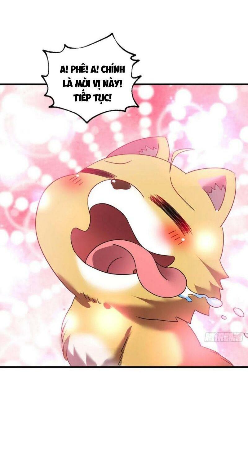 Trọng Sinh Thành Cậu Vàng Tại Dị Thế Chapter 245 14