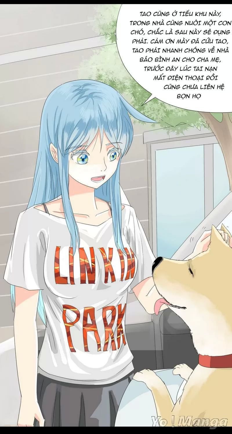một con chó chapter 20 6