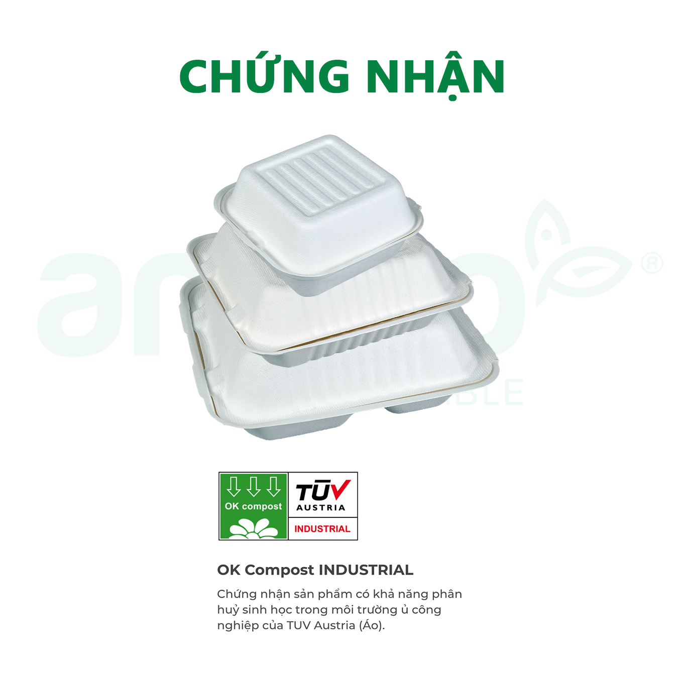 Hộp bã mía đựng thực phẩm ANECO phân hủy sinh học hoàn toàn