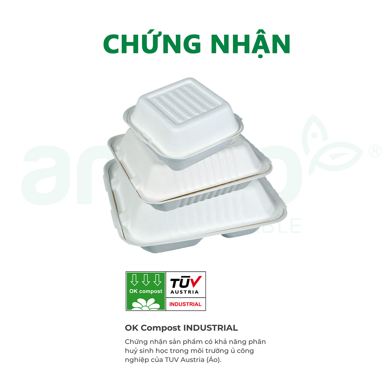 Hộp bã mía đựng thực phẩm ANECO phân hủy sinh học hoàn toàn (100-125 chiếc)