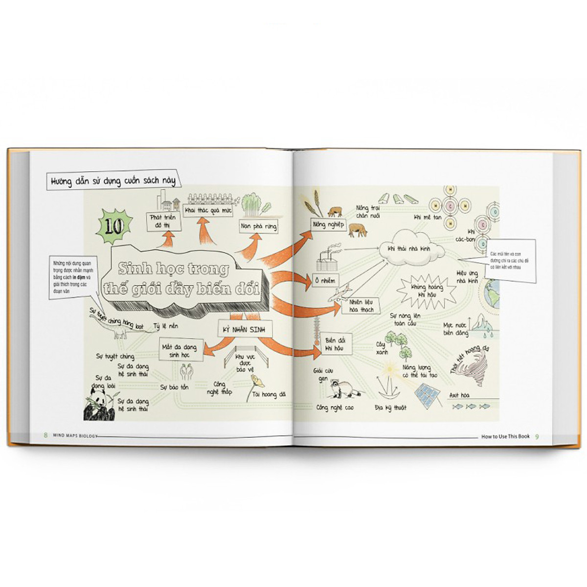 Sách Sơ đồ tư duy Sinh học - Min map Biology ( Tặng kèm BOOKMARK)