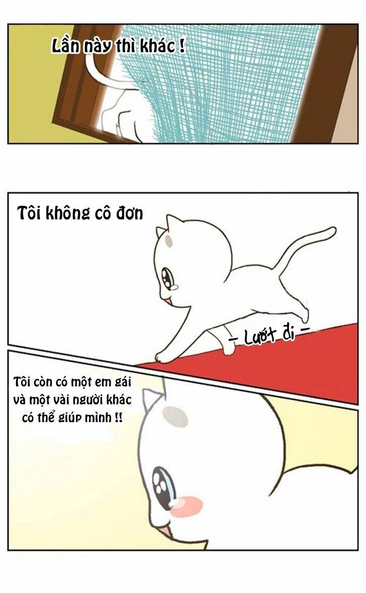 papi nyang chapter 16 9