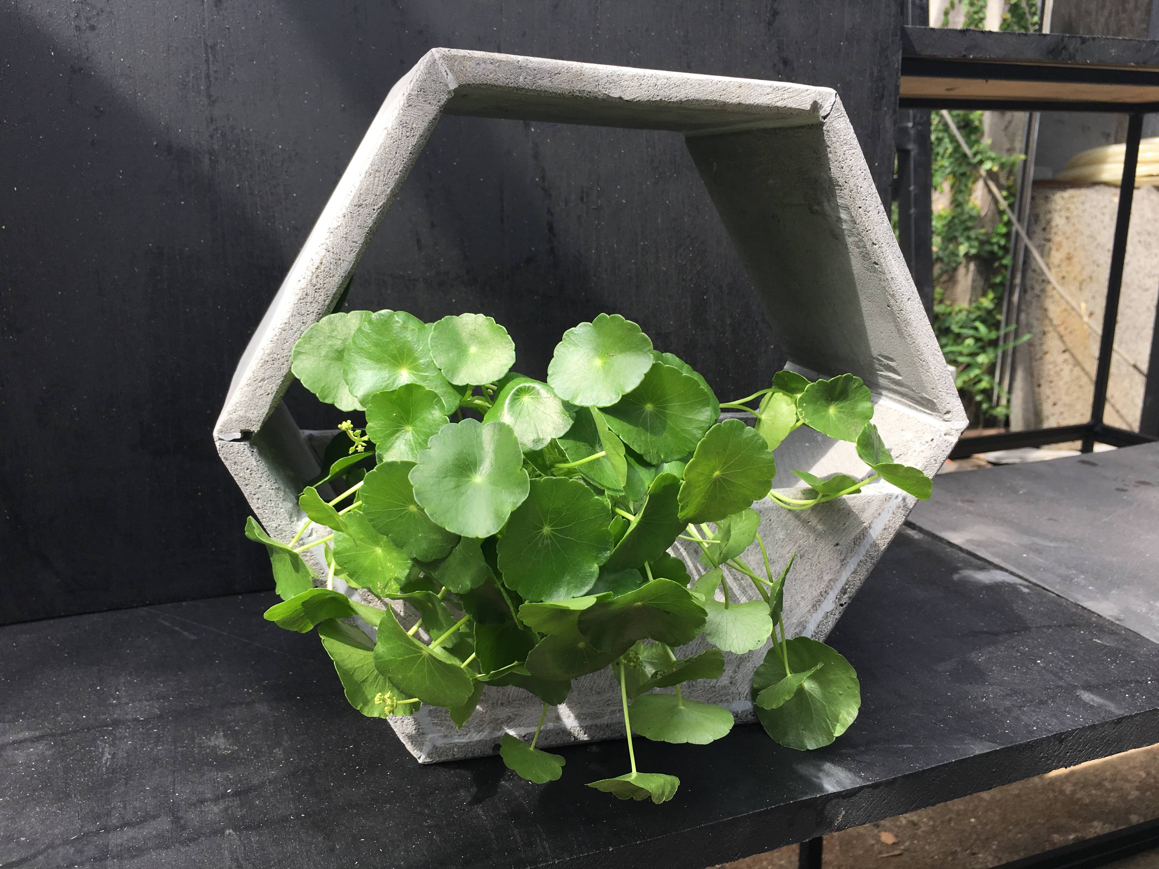 Chậu hoa treo tường độc đáo bằng đá ong xám tự nhiên 30x30x15cm