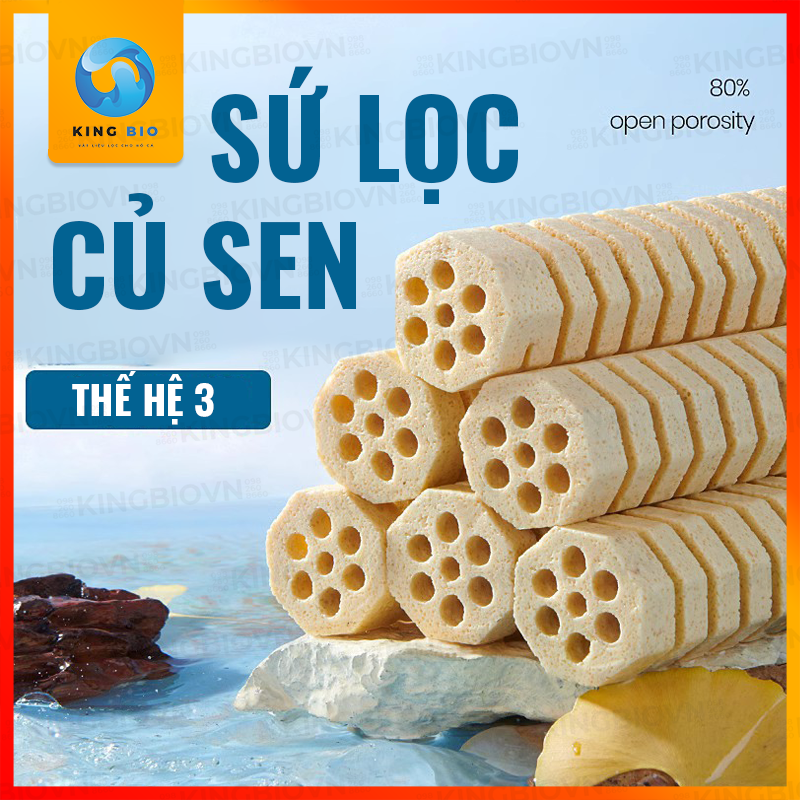 Sứ lọc củ sen Yee - Vật liệu lọc cao cấp cho hồ cá , bể cá