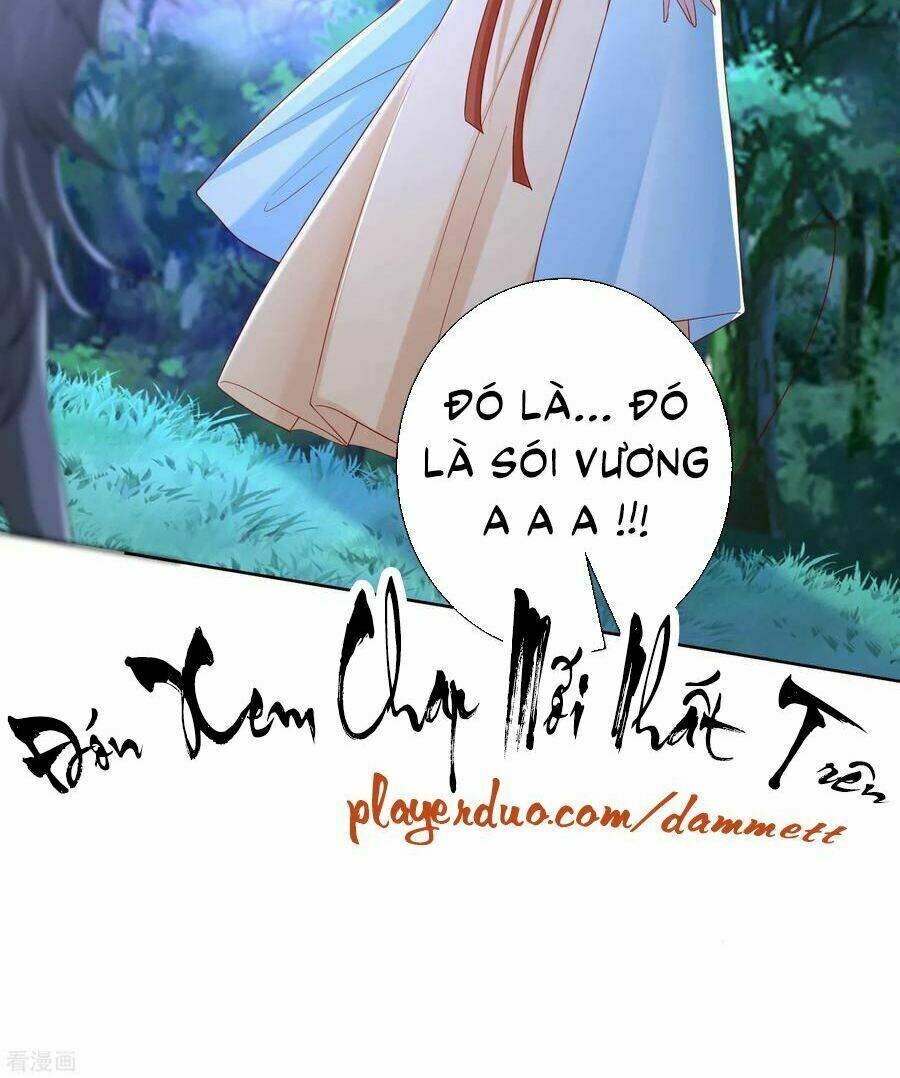 độc y đích nữ chapter 146 35