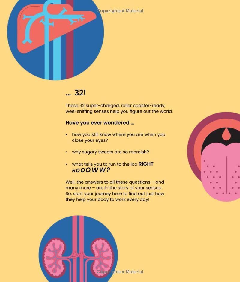 Sách ngoại văn: Your SENSE-Ational Human Body