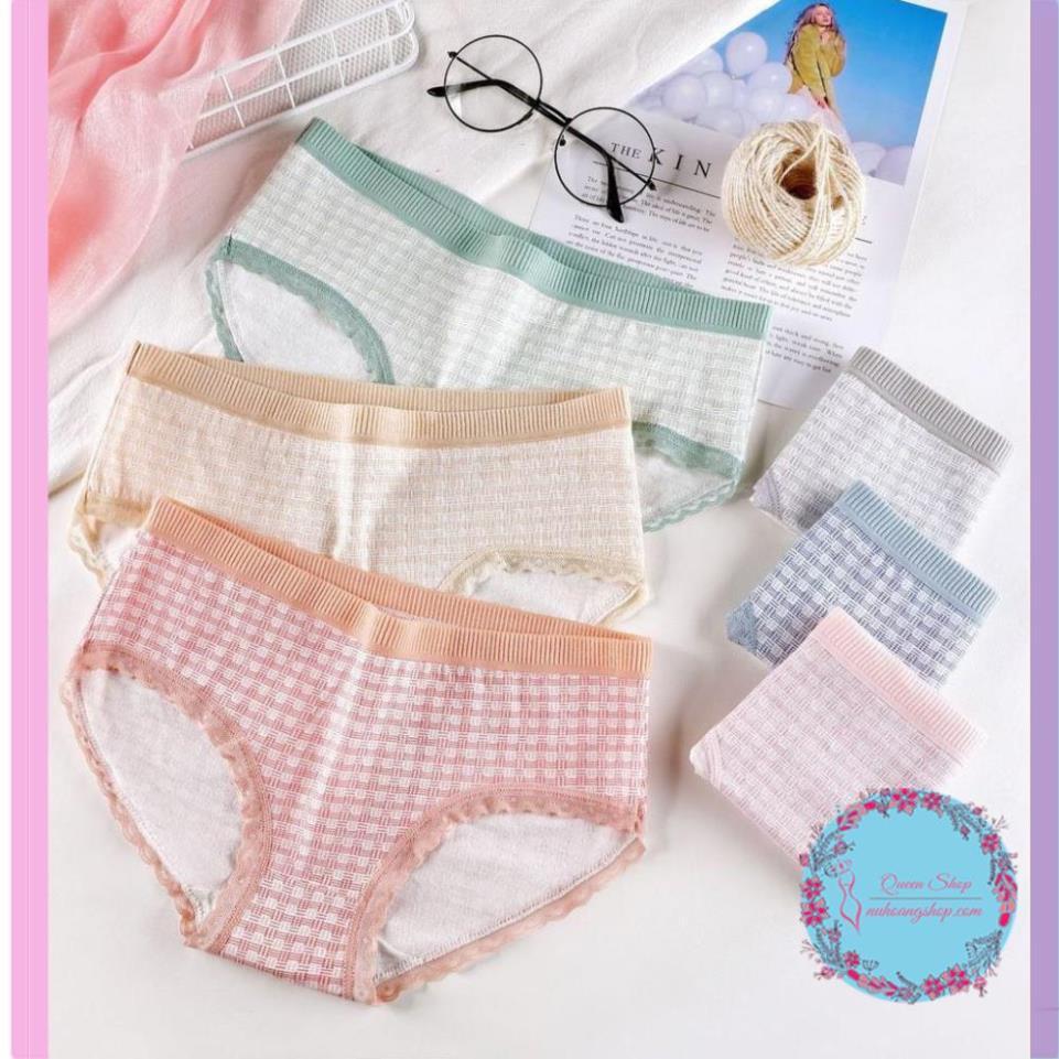 Quần Lót Cotton Sợi Bông Co Giãn Kháng Khuẩn DL101