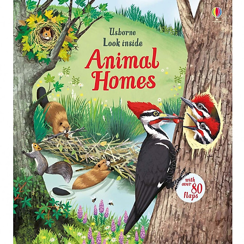 Sách - Anh Look Inside Animal Homes
