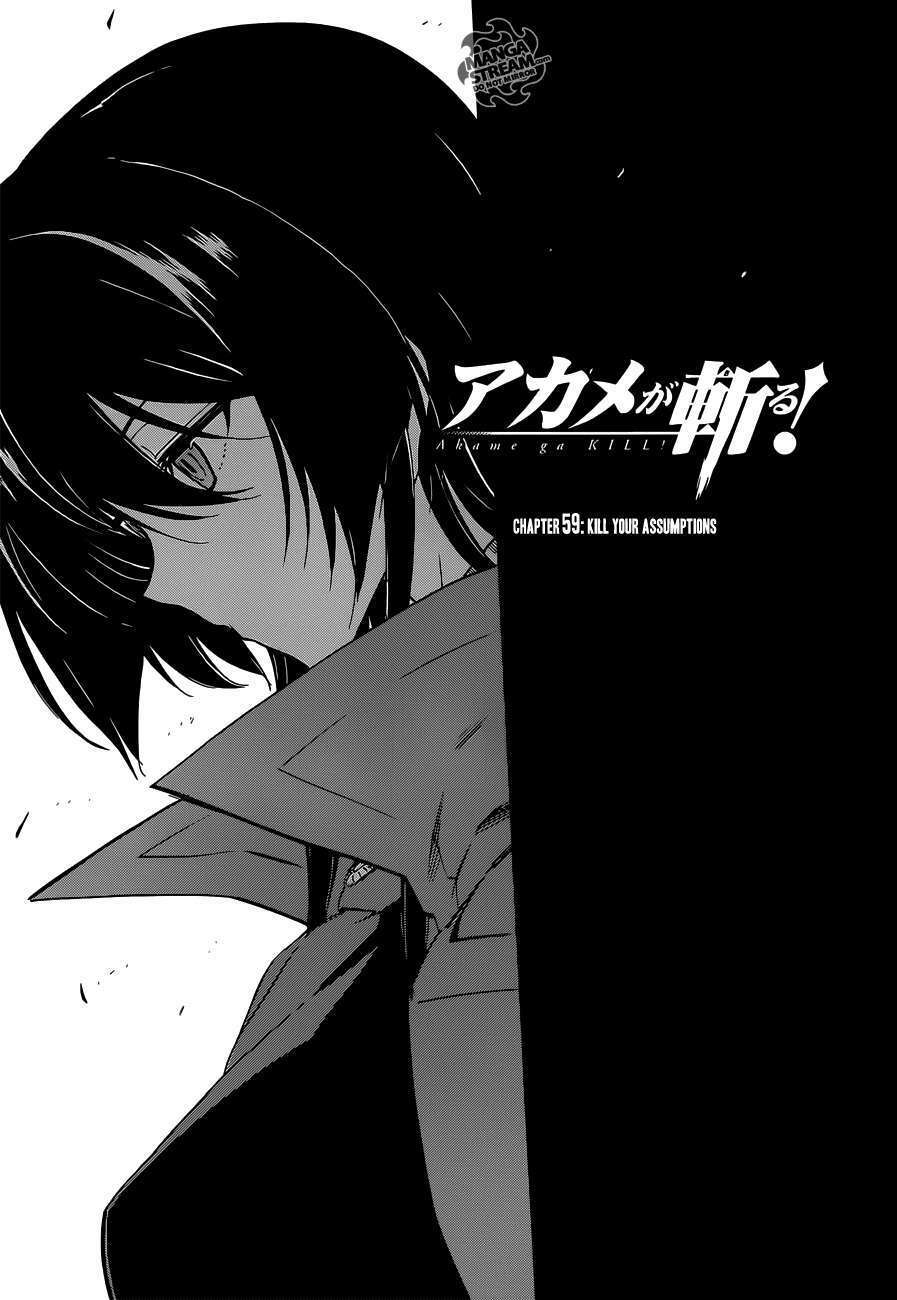 akame ga kiru! chapter 59.2 3