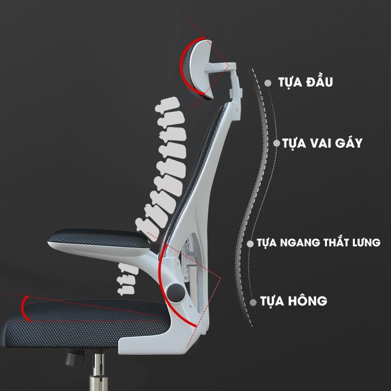 Ghế Văn Phòng Công Thái Học Ergonomic TANNI Premium 03, Ghế Xoay Văn Phòng Làm Việc Cao Cấp Nhập Khẩu