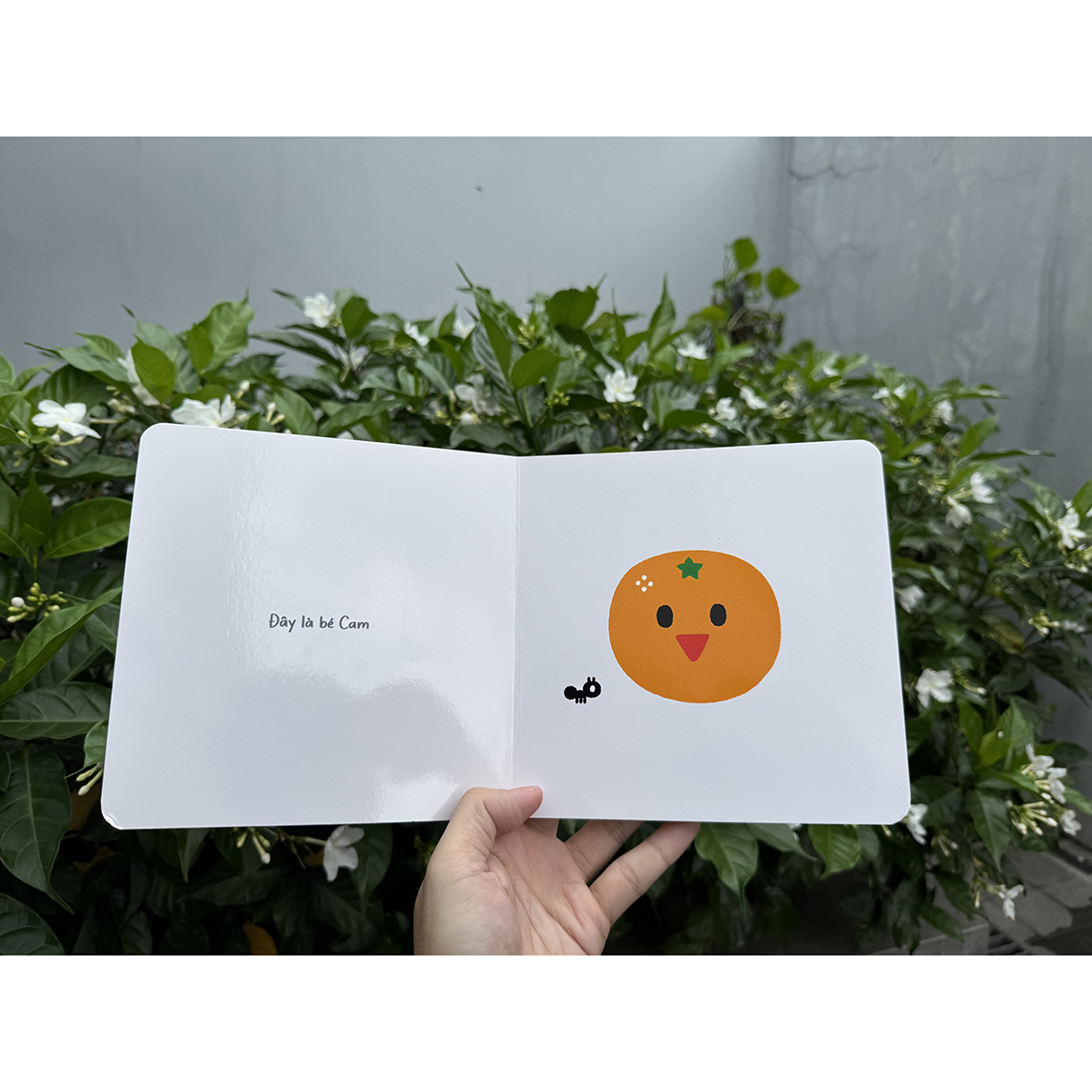 Sách Bé cam cam - Mình cùng vui chơi nhé!