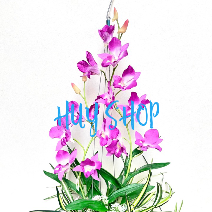 Giỏ gáo dừa Hoa LAN CÒ  Vải cao cấp trang trí treo trần nhà