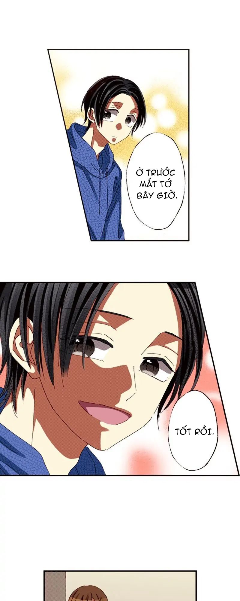 Tôi Ghét Nụ Cười Ấy chapter 81.2 - Trang 5