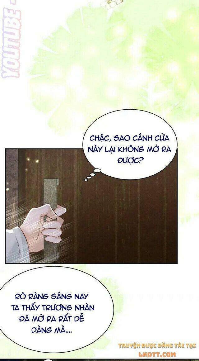 hắc hóa nam chính trực tuyến nuôi thỏ chapter 45 24