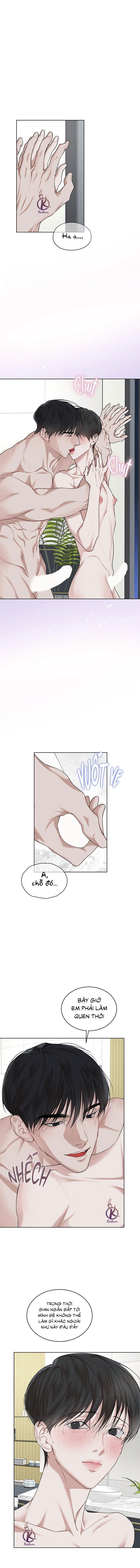 hình thái khởi sinh chapter 78 1
