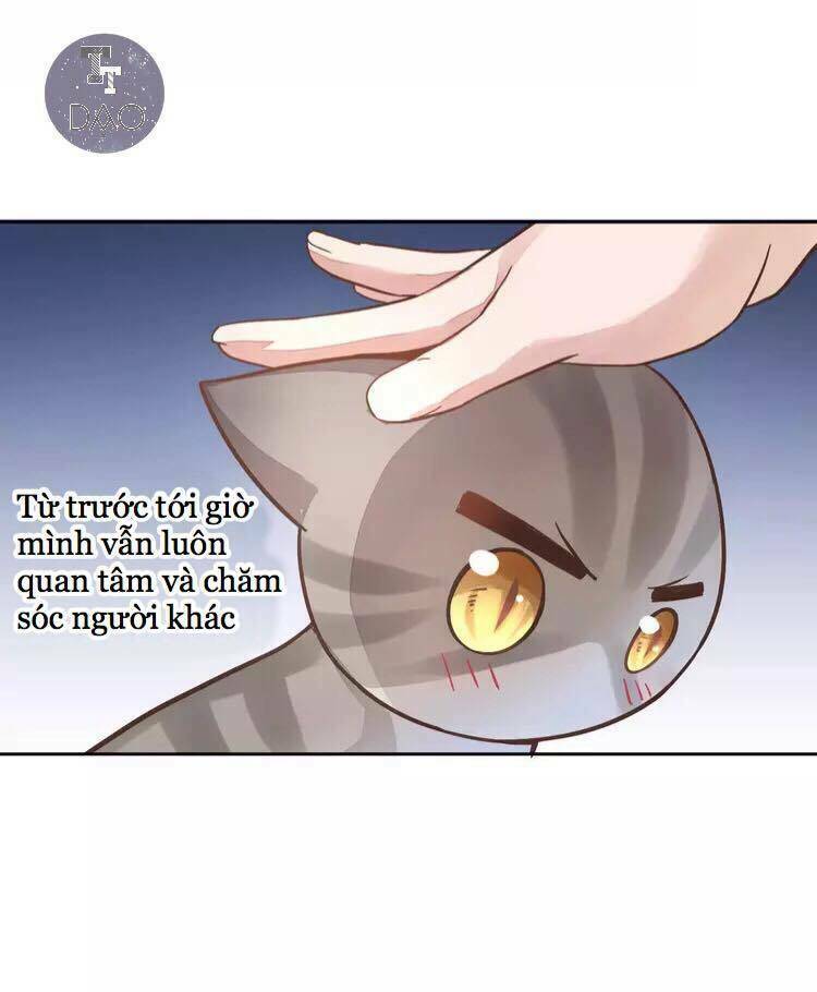 thị hoang chi thần chapter 19 41