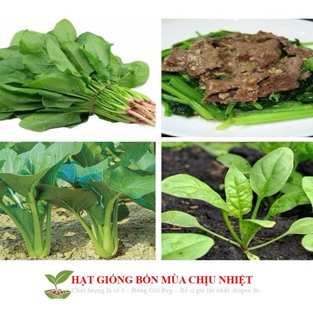 GÓI 100 HẠT GIỐNG CẢI BÓ XÔI 10g Hạt Giống Cải Bó Xôi - Chịu Nhiệt, Dễ Trồng Rau Chân Vịt
