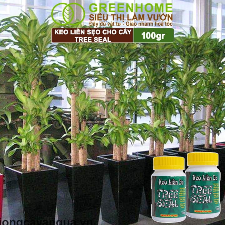 Keo Liền Sẹo Cho Cây Greenhome, Tree Seal, Chai 100gr, Liền Nhanh Vết Cắt Da Cây, Chiết Cành