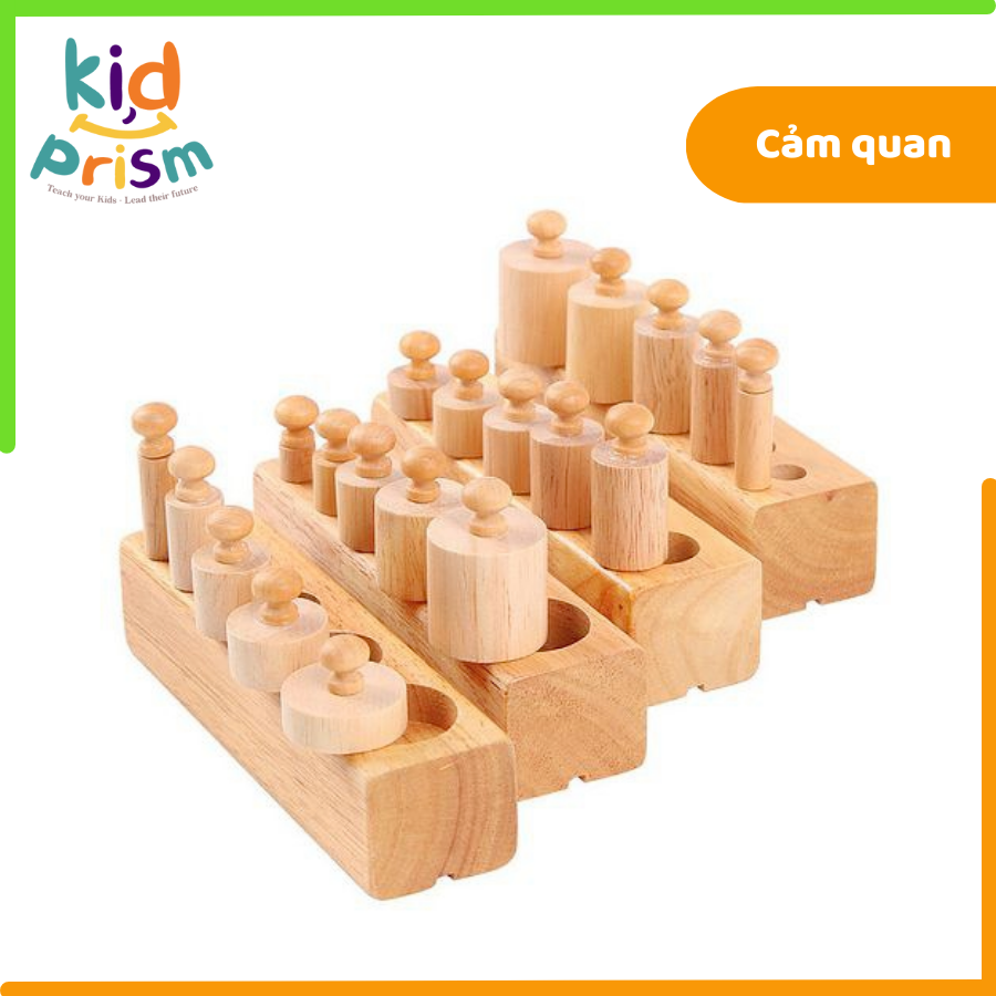 Giáo cụ Montessori - Khối trụ có núm bằng gỗ giúp trẻ phát triển cảm quan