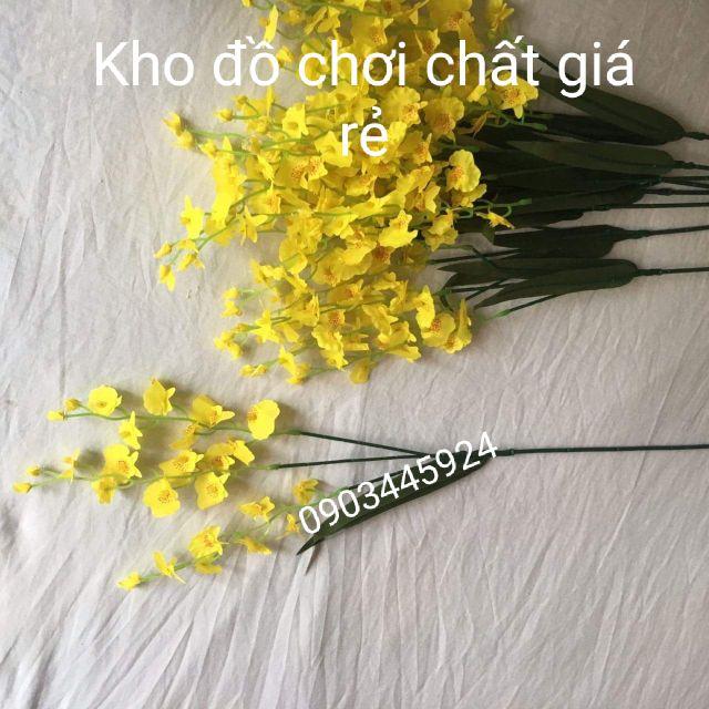 Cành Lan Vũ Nữ