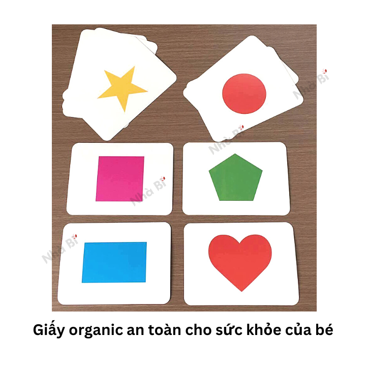 Flashcard - Bộ 100 Thẻ Dạy Trẻ Thế Giới Xung Quanh Theo Phương Pháp Glenn Doman - TN0005