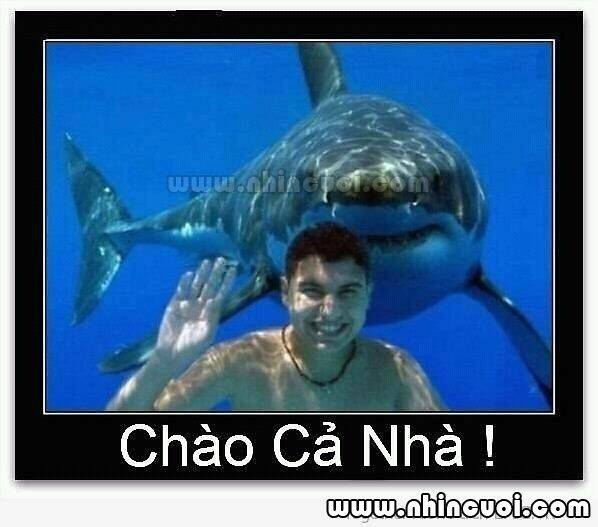 hình ảnh hài hước new chapter 15 7