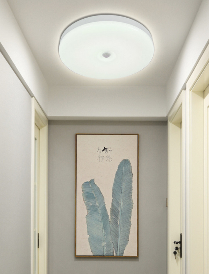 Bộ 2 Đèn LED Ốp Trần EURO LIGHT Cảm Biến Cơ Thể Người 24W 6500K - Home and Garden