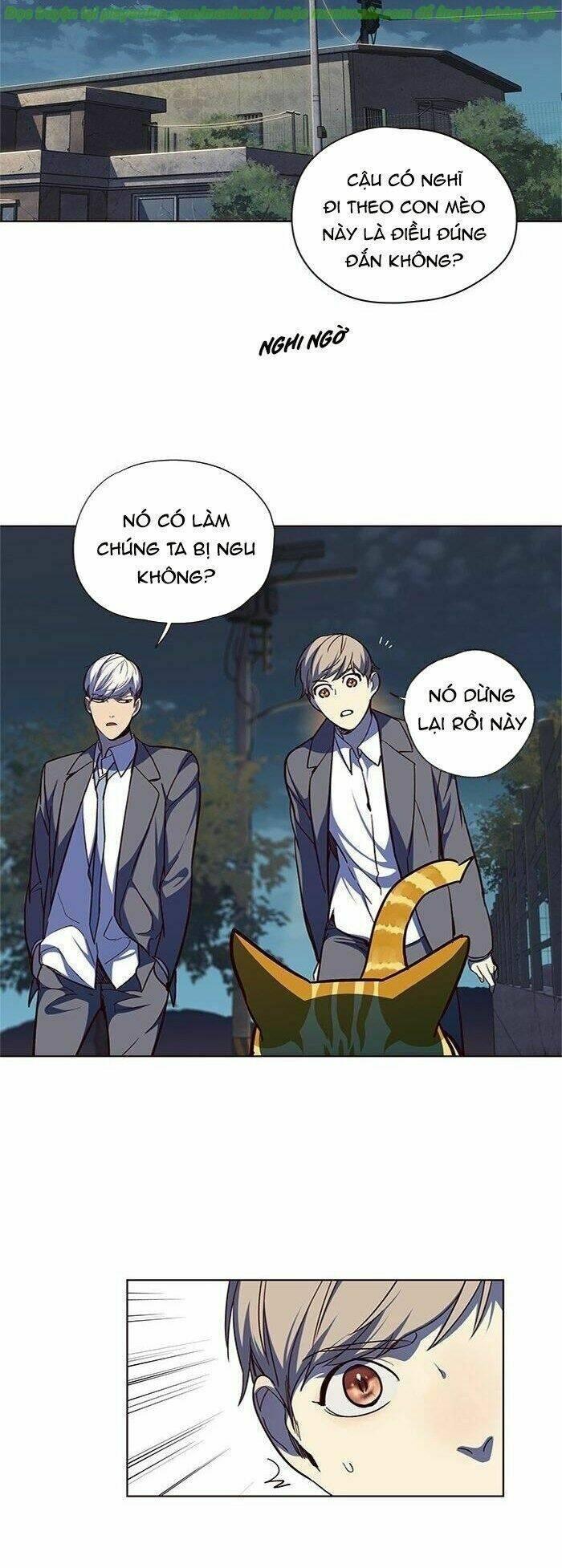 biến thân thành mèo chapter 41 48