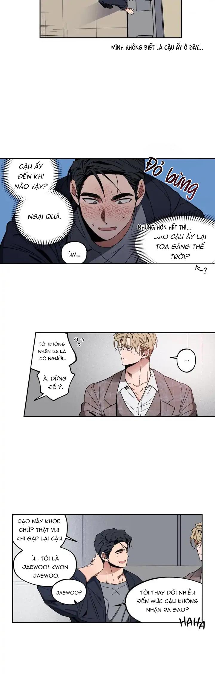 love plan chapter 1 14