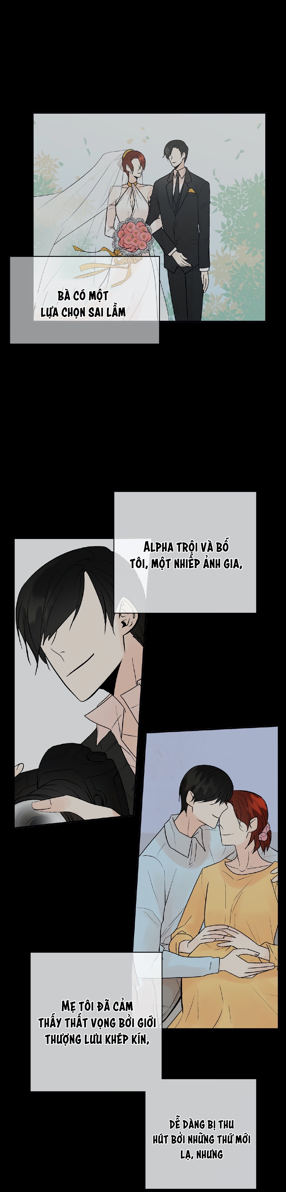 trú ẩn - haven chapter 10 6