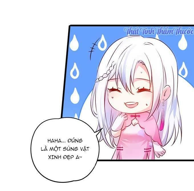 Hắc Đạo Này Có Chút Manh chapter 13 13