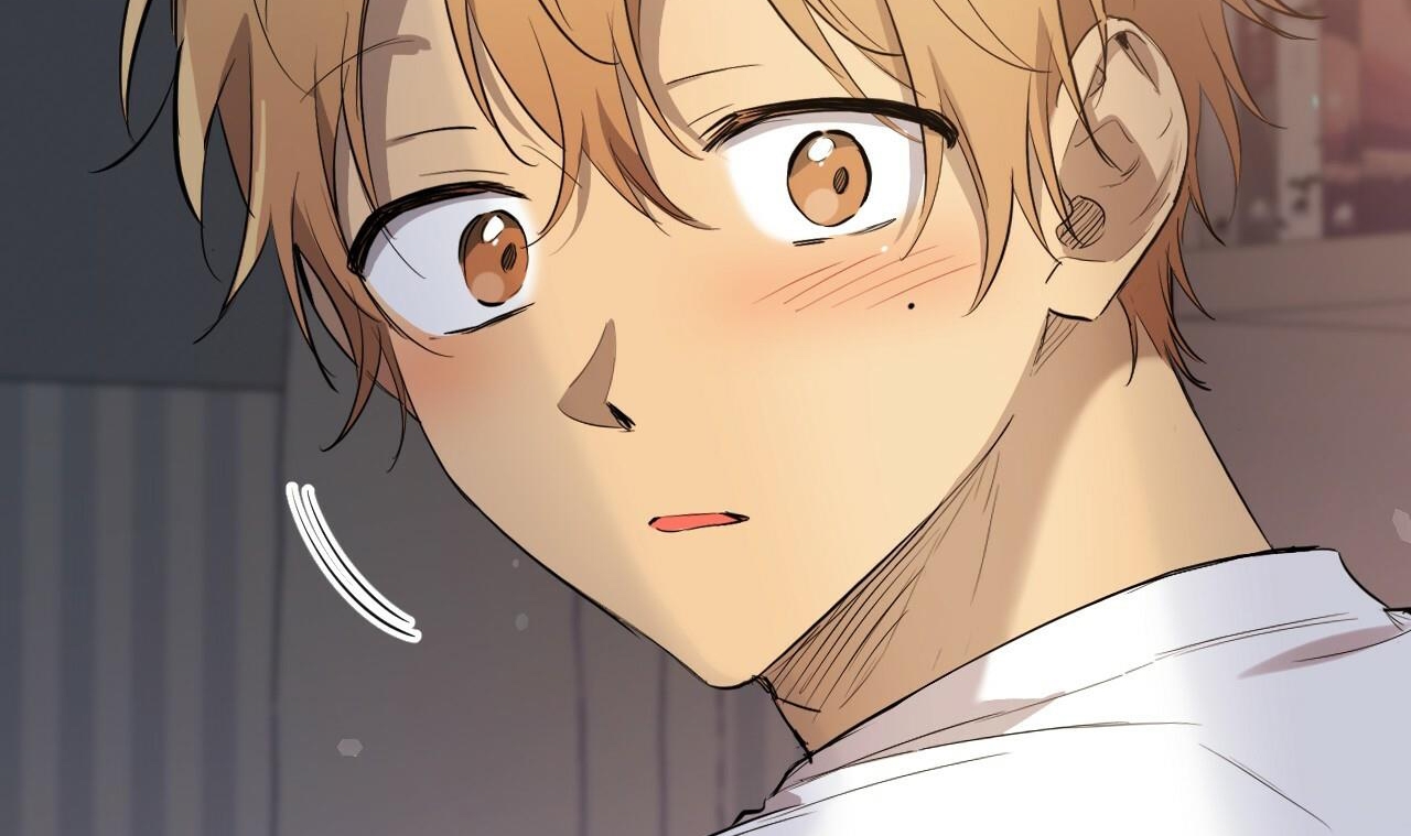 những chú thỏ của hapypy chapter 51 28