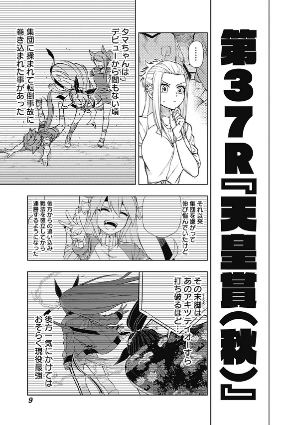 Sách ngoại văn: Uma Musume Cinderella Gray 5 (Japanese Edition)