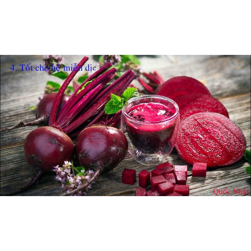 Hạt giống Củ Dền Đỏ -