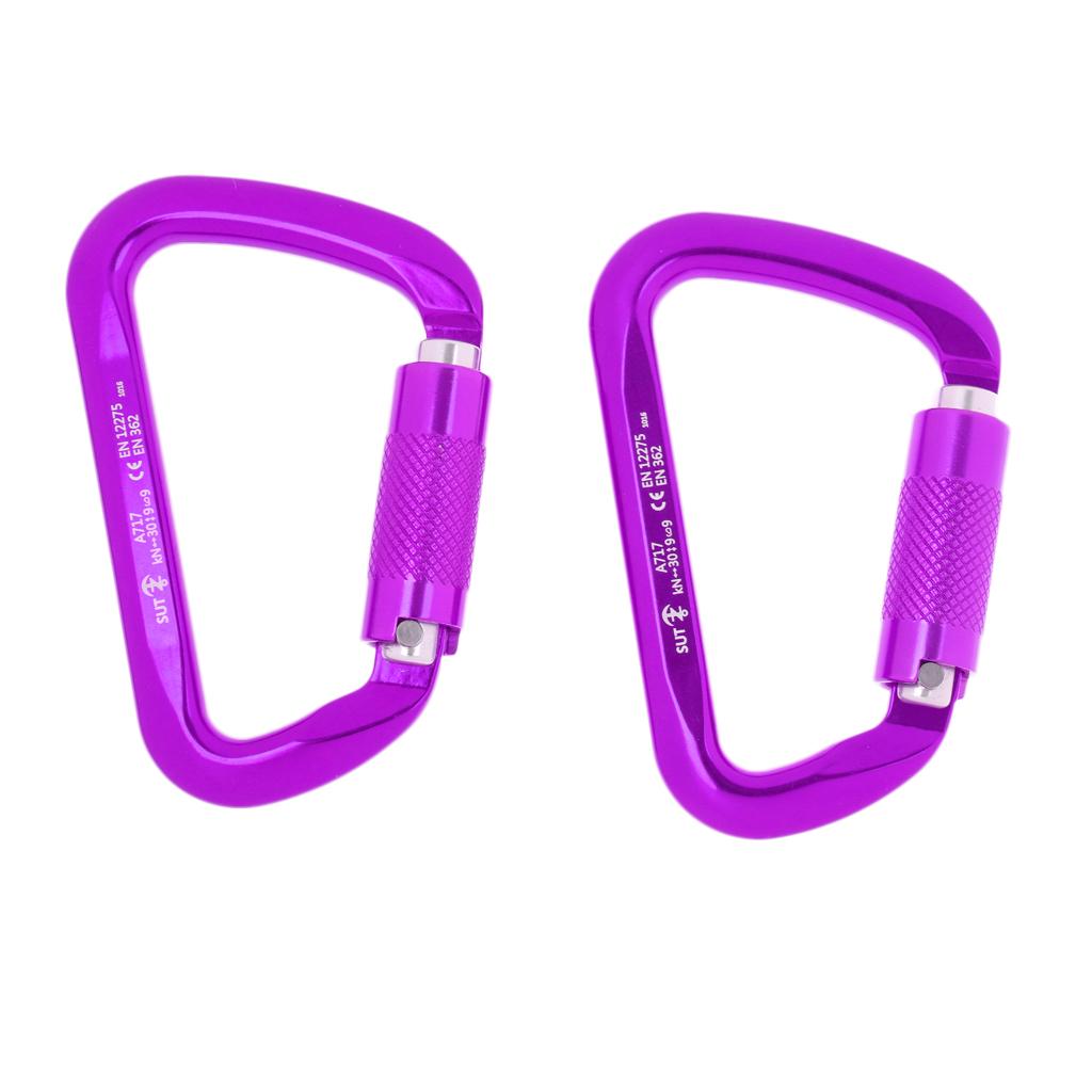 1 Pair 30KN D-Ring Twist Auto Locking Rock Climbing Carabiner Rescue
